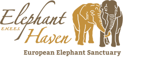 Elephant Haven